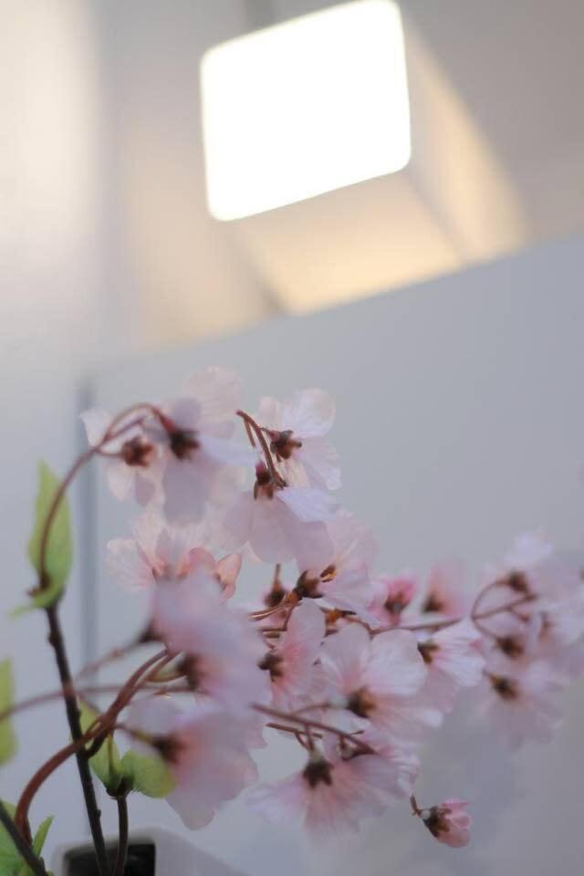 Bhotel Ball Park - Newlybuild 2 Bedrm Apt 2 Mins Baseball Museum 4Ppl Hiroshima Exterior foto